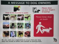 Cartello per i proprietari di cani visto a Singapore