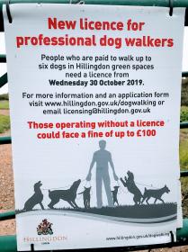 Licenza per i dog-walker a Hillingdon